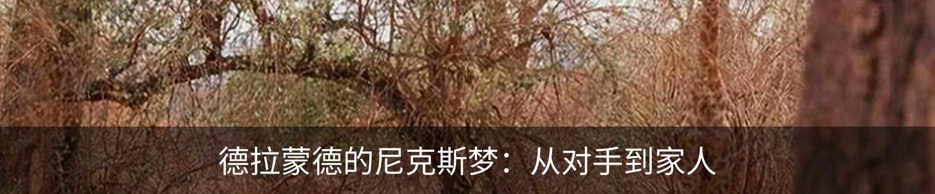 内页banner